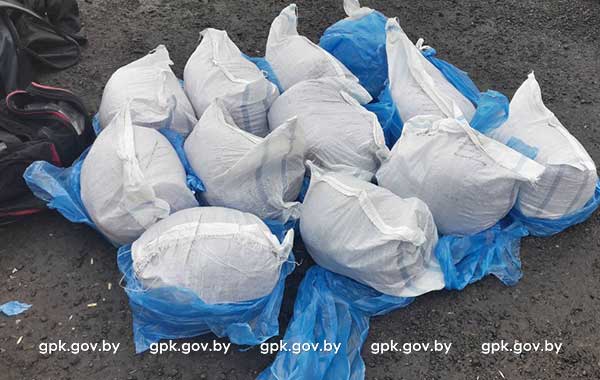 Гомельские пограничники нашли в рейсовом автобусе 120 кг насвая  