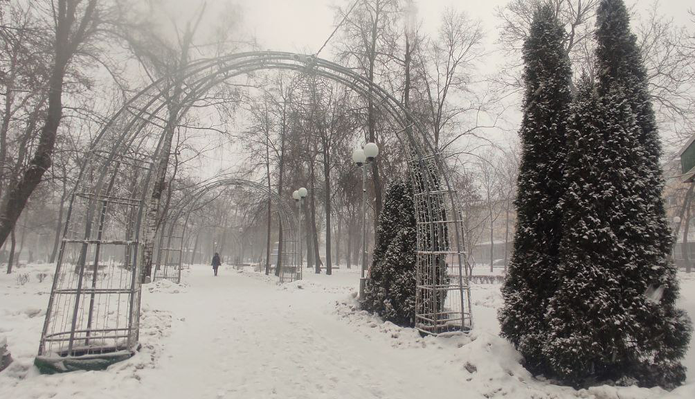 В Беларуси на выходные 3-5 февраля ожидается похолодание до -14 градусов