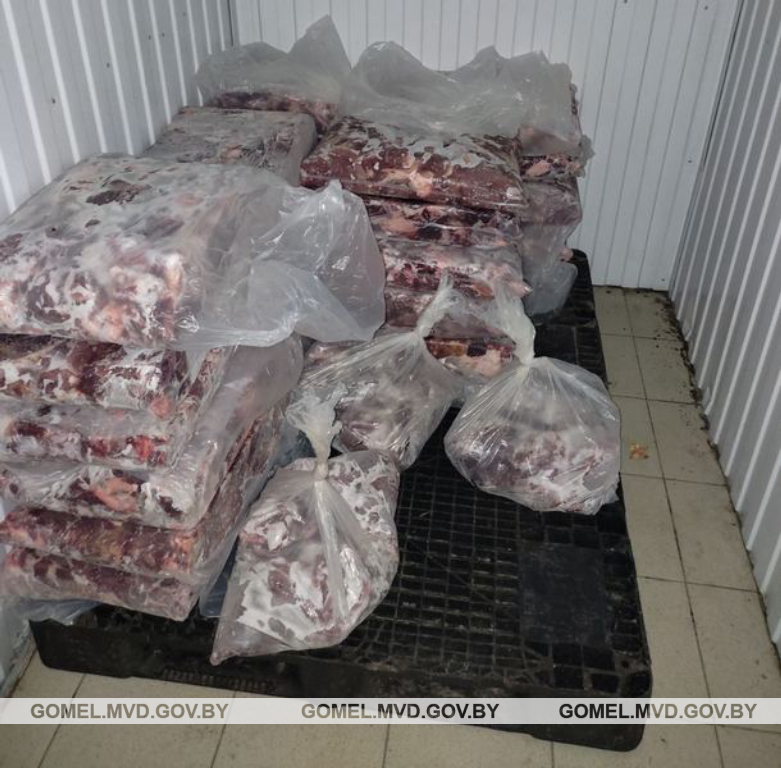 Видео. Мастер убойного цеха незаконно продала предпринимателю из Мозыря 540 кг котлетной говядины на сумму почти Br4 500