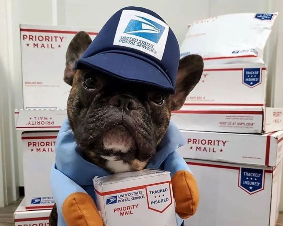 НЦЗПД советует белорусам не отправлять копии паспортов для заказов на Ozon