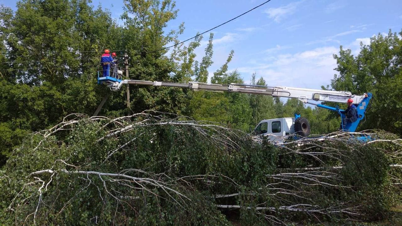 Что известно про ураганный ветер в Беларуси 15 июля 2024: последствия бури  13 и 14 июля, пять погибших, ЧС на Гомельщине, без света Мозырь, ребенок из  лагеря под Речицей в тяжелом состоянии | Телерадиокомпания Гомель