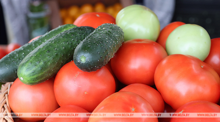 КГК выявил факты завышения цен на овощи и фрукты в частном торговом предприятии в Гомеле