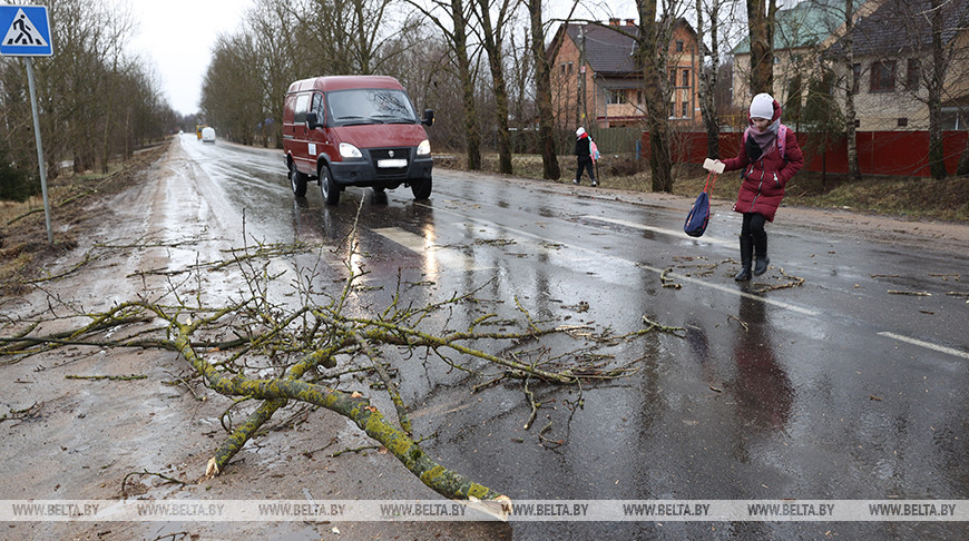 МЧС: сильный ветер сохранится до конца дня