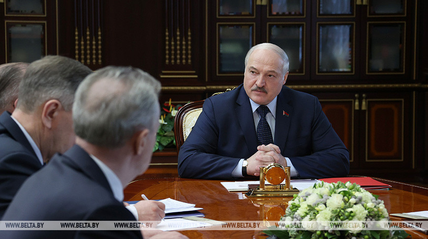 "Безответственность полнейшая". Лукашенко высказал критику по поводу медленных темпов лесовосстановления в Беларуси