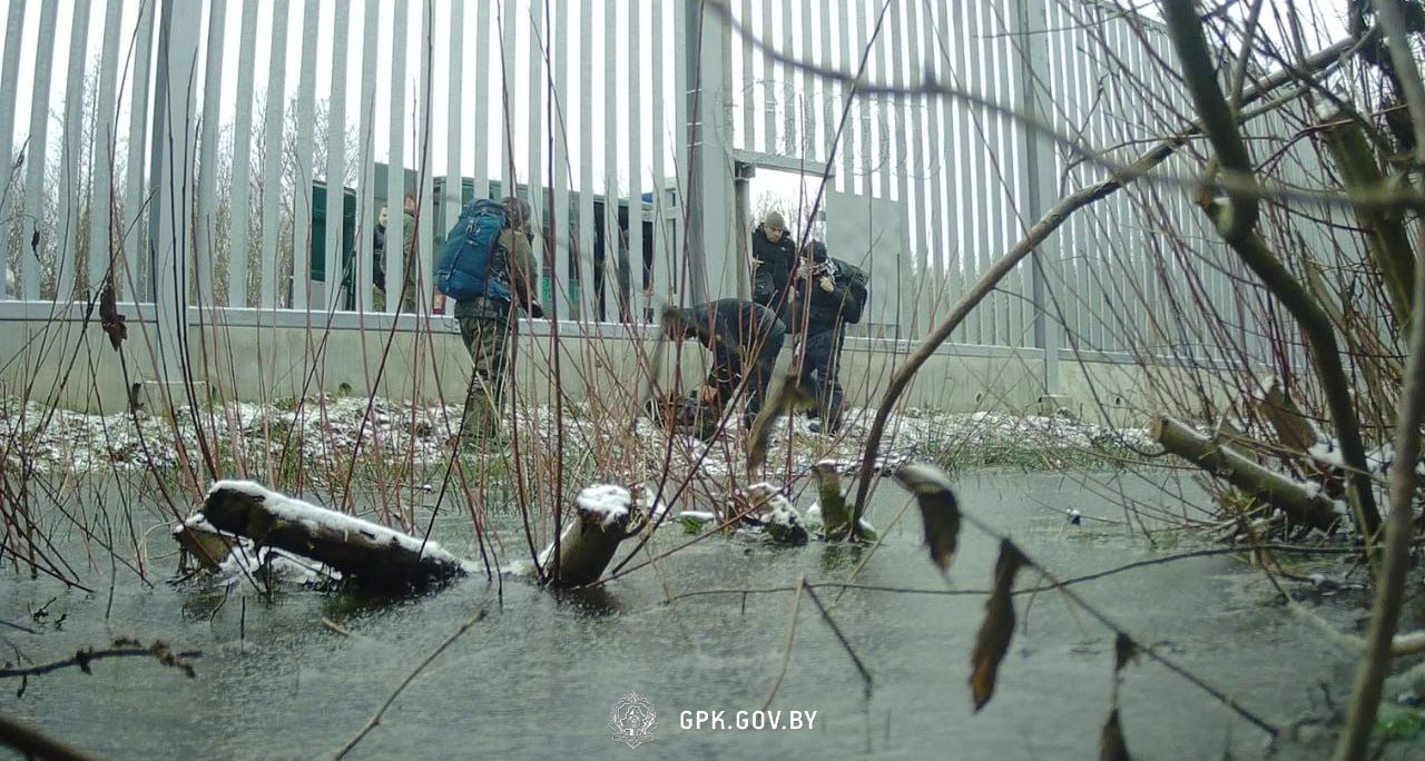 Польские силовики выталкивали в Беларусь пятерых граждан Египта через калитку для животных