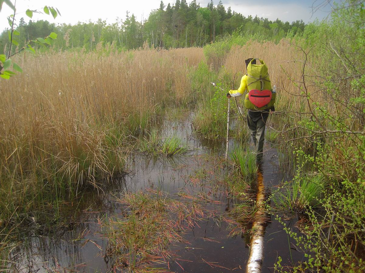 Ольманские болота будут платными для иностранцев до 2021 года‍