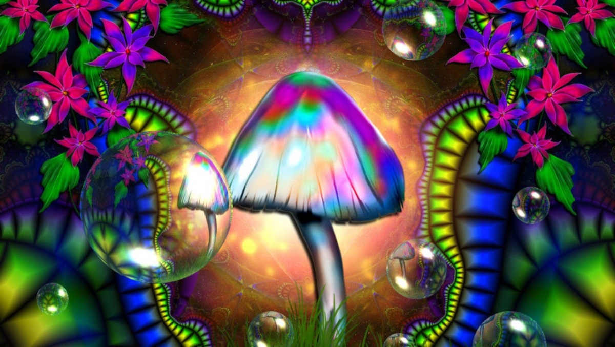 Россиянин лечил головные боли грибами с марихуаной
