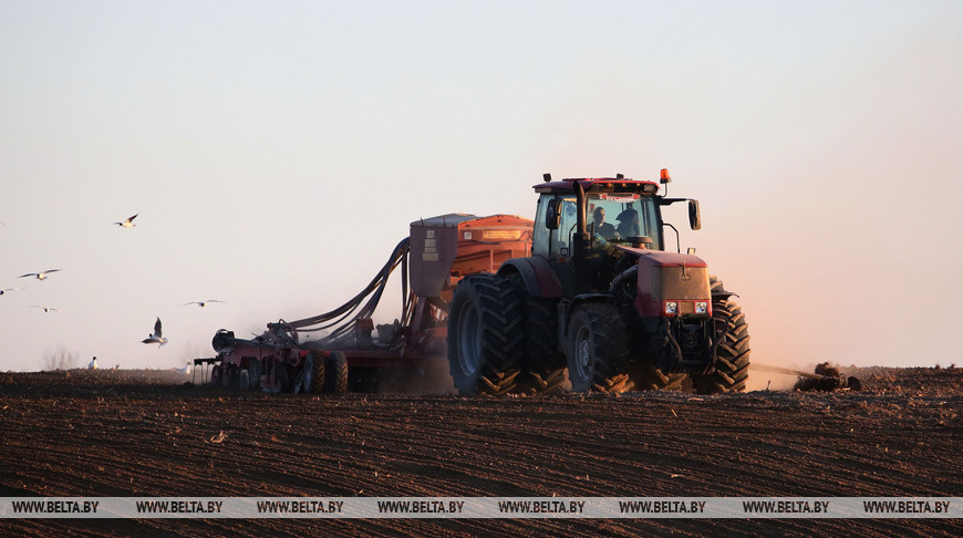Техника, удобрения, семена и топливо. Лукашенко обозначил вопросы в АПК, где пробуксовывают регионы