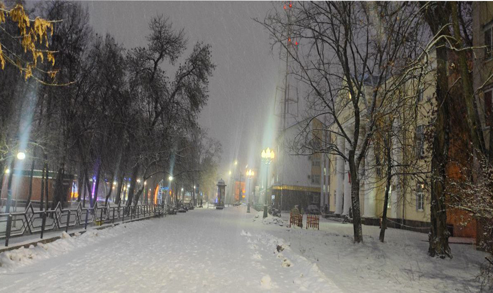Синоптики предупредили про снег, гололед и сильный ветер 12 января