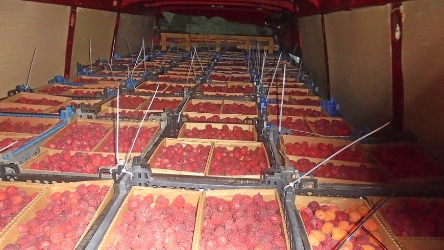 Россельхознадзор вернул три тонны свежей малины в Беларусь