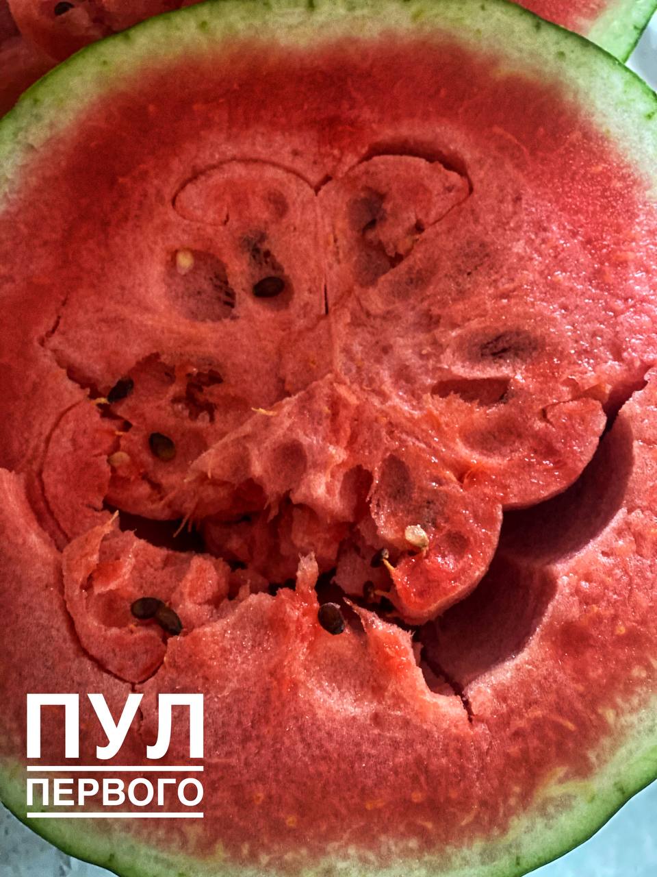 В сети показали, какие арбузы уродились у Лукашенко - есть с улыбкой внутри