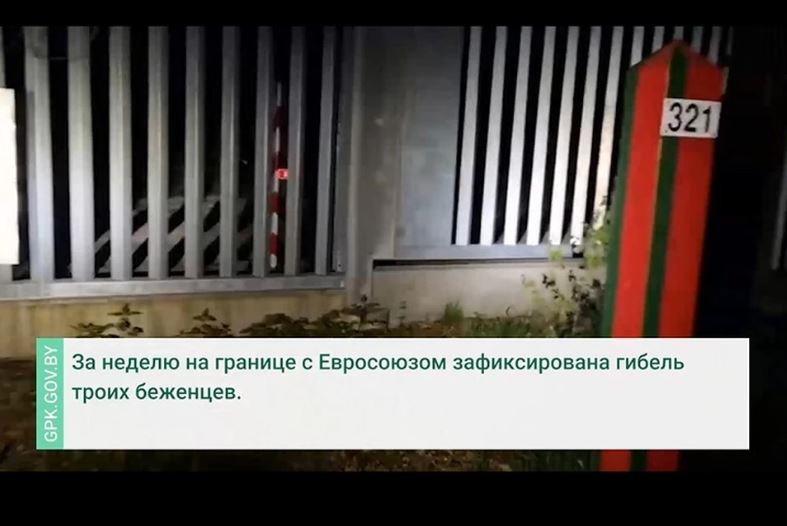 Видео. Белорусские пограничники обнаружили тела трех погибших мигрантов на границе с ЕС