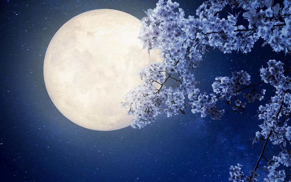 В Гомеле 5 мая 2023 года можно будет увидеть Лунное затмение и Цветочное полнолуние