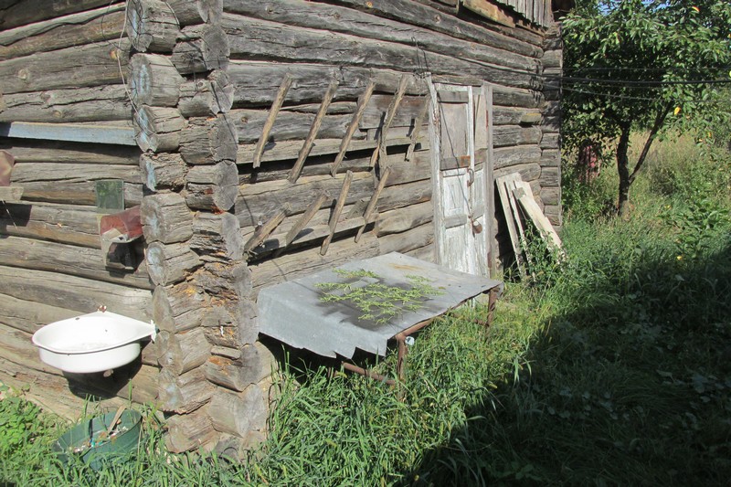 Житель Брагинского района выращивал во дворе коноплю и сушил в микроволновке