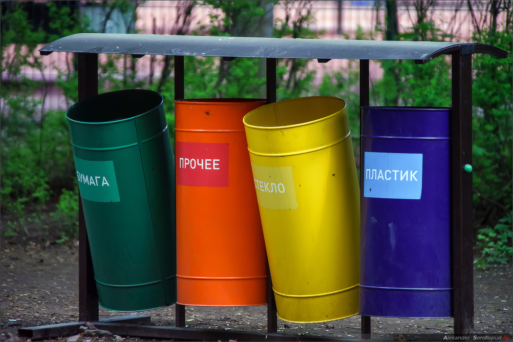 Беларусь лидирует среди стран СНГ по раздельному сбору мусора