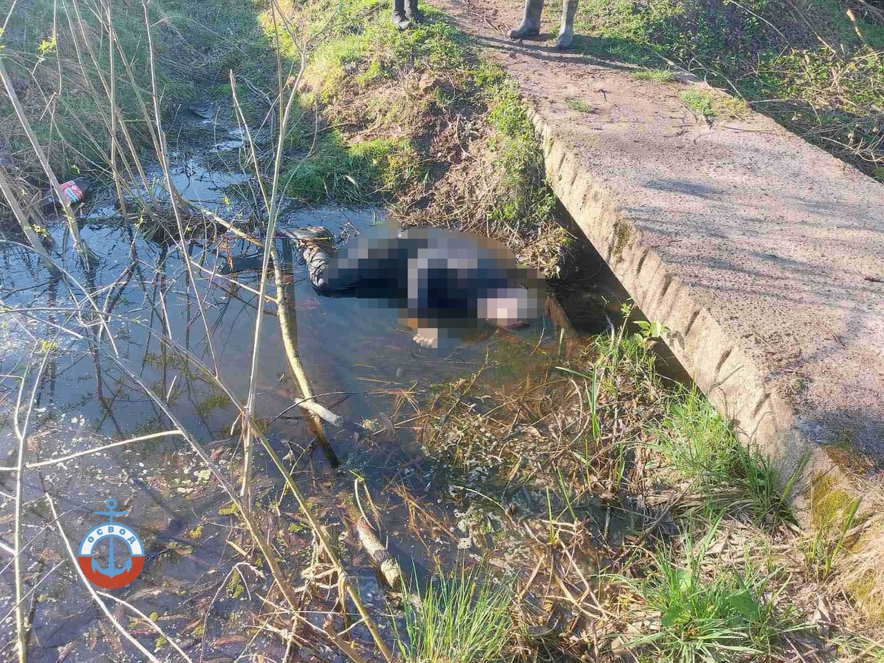 В Петрикове фельдшер ехал в машине скорой помощи и обнаружил в канаве наполовину в воде мертвое тело мужчины