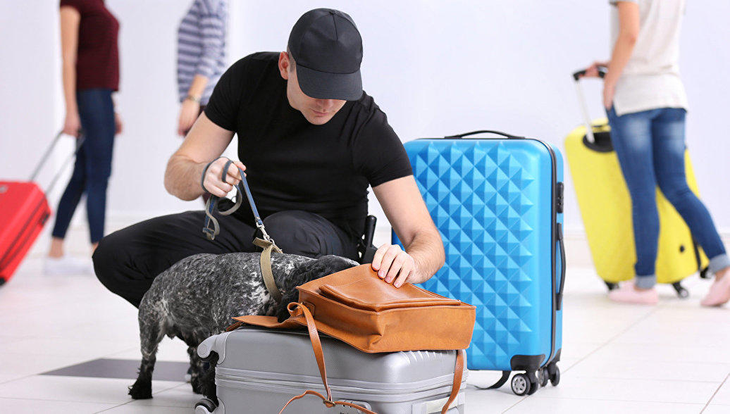 Курица, секс-игрушки и прах. Работники аэропортов назвали самые странные вещи в багаже пассажиров