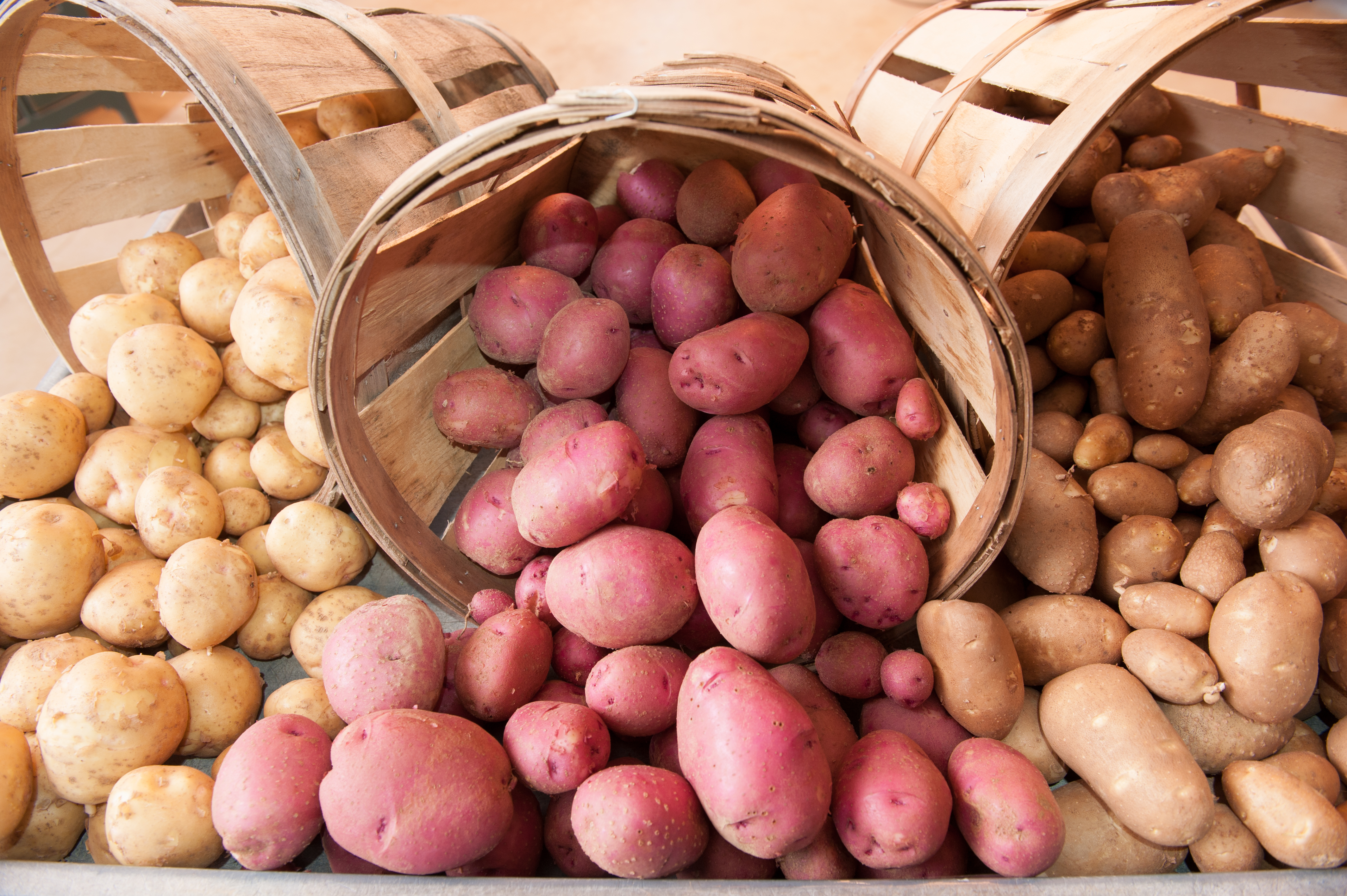 Облсельхозпрод обещает обеспечить картофелем всех