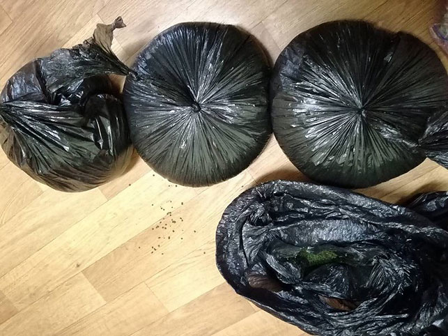 У гомельчанина изъяли 8 килограммов насвая