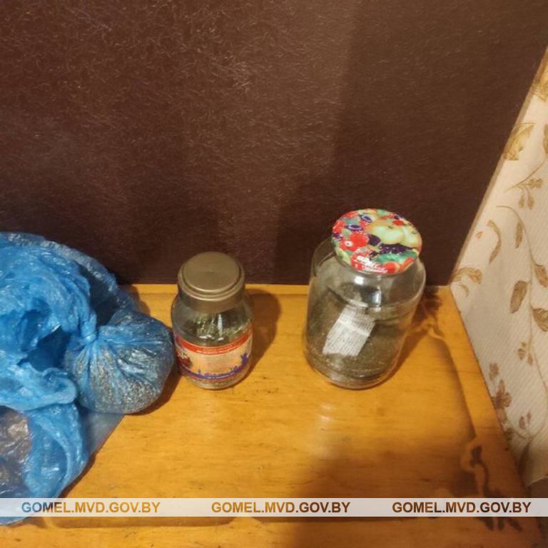 У жителя Светлогорска в квартире обнаружили более двухсот грамм марихуаны