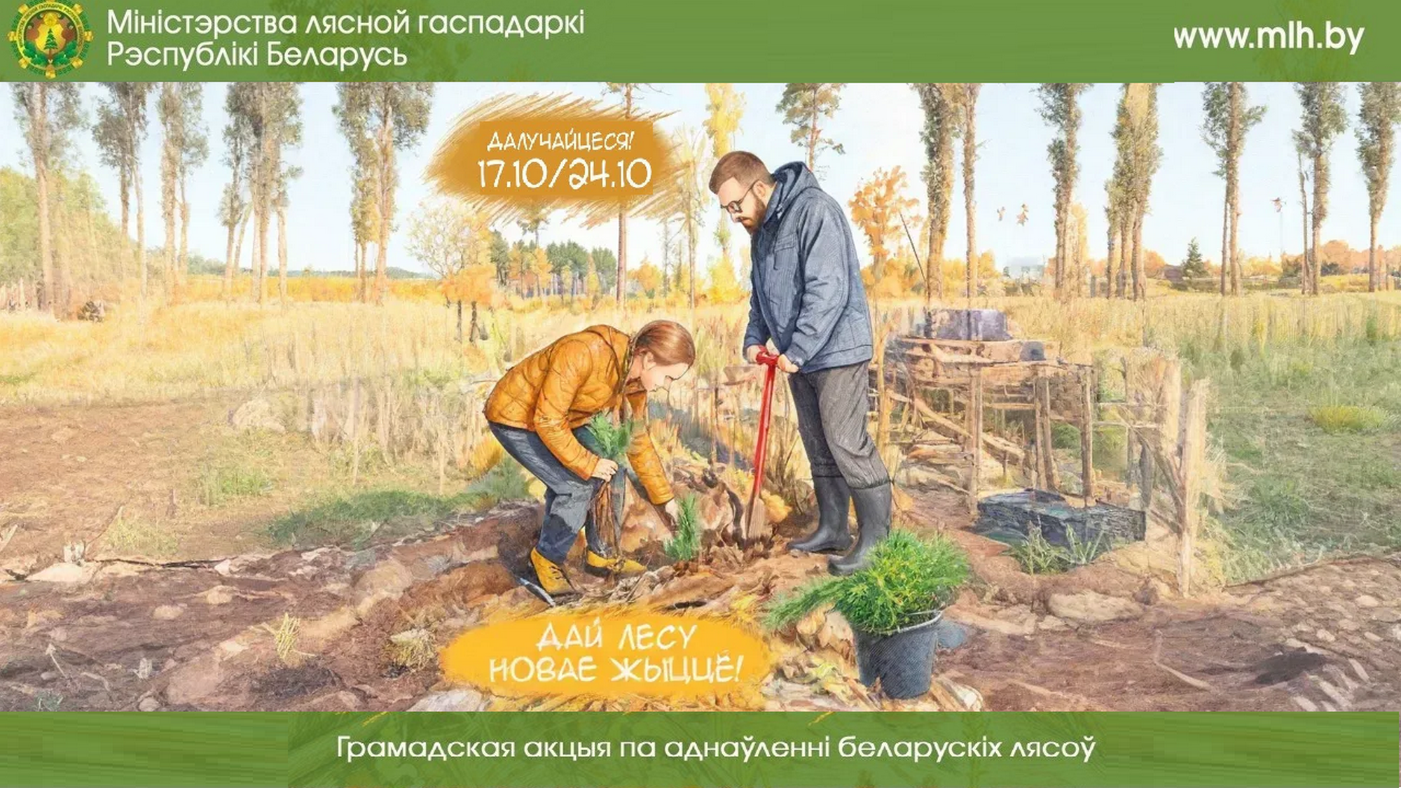 Акция «Дай лесу новае жыццё!» проходит в Беларуси до 24 октября