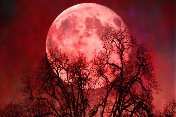 7 августа белорусы смогут увидеть «кровавую луну»