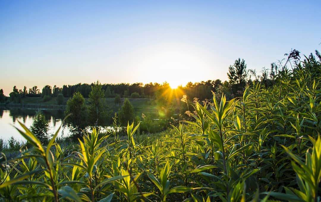 В Гомеле разработают «зелёную карту» города