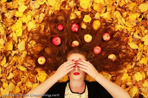 21 ноября отмечают Михайлов день