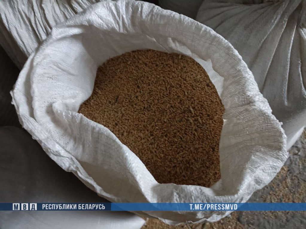 В Жлобинском районе злоумышленники похитили со склада фермы почти две тонны зерна