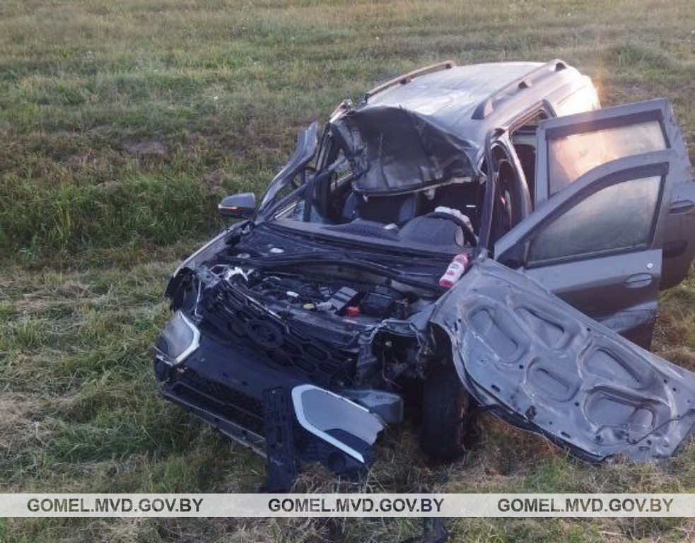 Под Жлобином 40-летний водитель на трассе обгонял другое авто, врезался в лося и оказался в реанимации