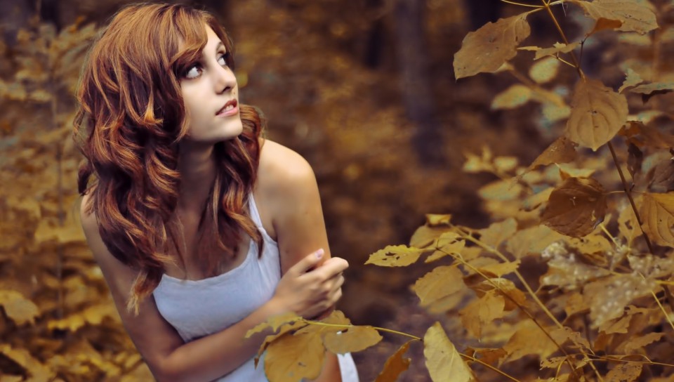 20 ноября отмечают Федотов день