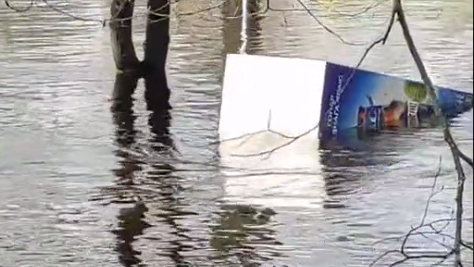 Видео. Спасатели уже ищут. В Гомеле по реке плавает холодильник с пивом