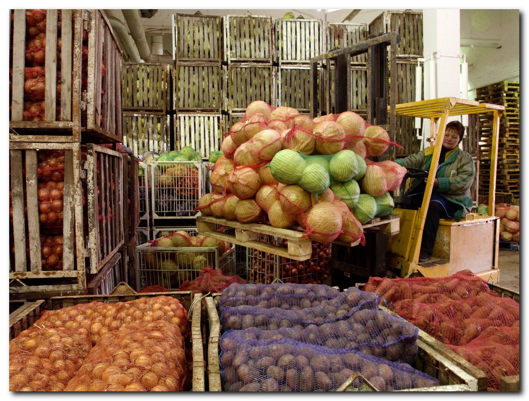 В Гомельской области закладку фруктов в стабилизационные фонды планируют увеличить на 27%