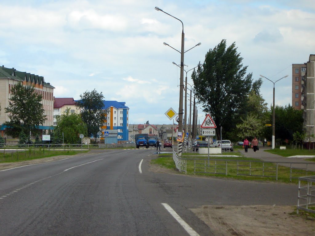 Президент ознакомился с благоустройством Житковичей