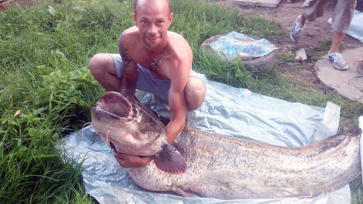 Ахова Птушак Бацькаўшчыны: рыболовная насадка может быть незаконной