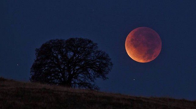 Самое длинное лунное затмение 21 века произойдет  в ночь на 28 июля