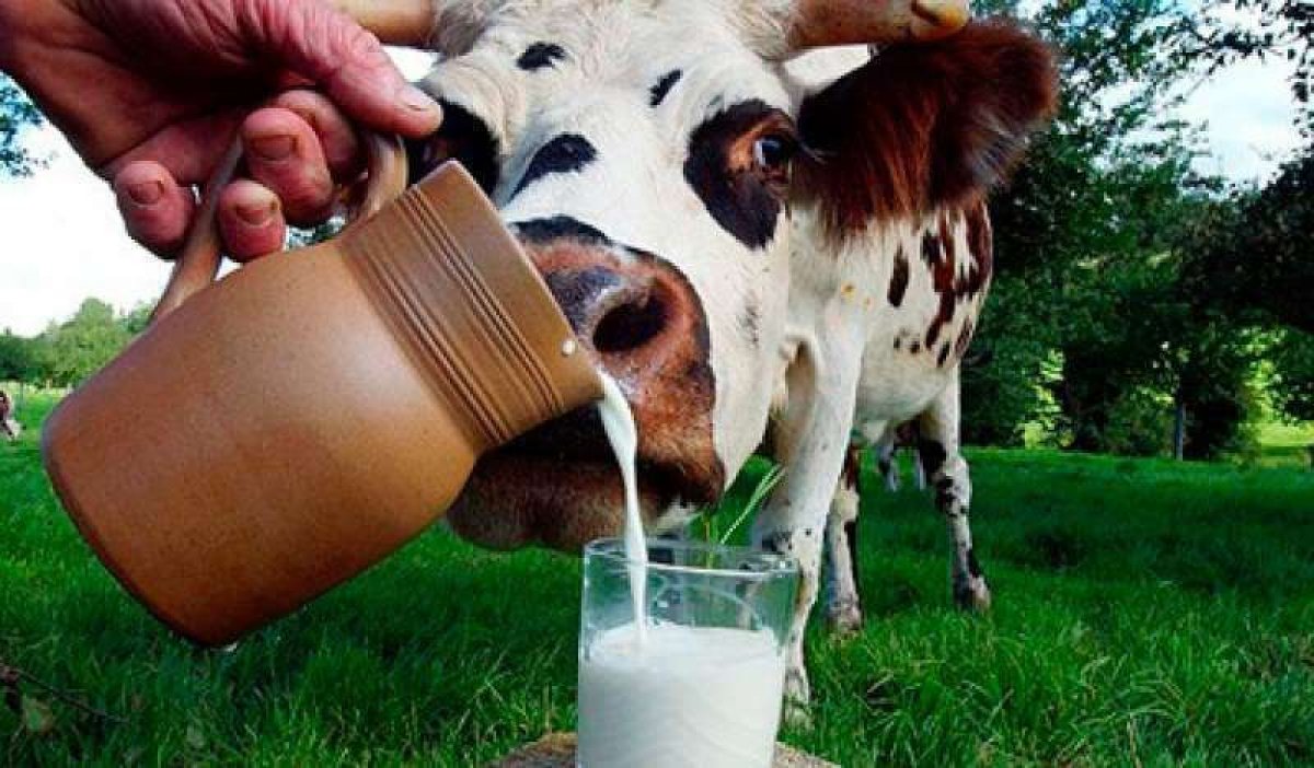 1 367 рублей за тонну молока, 17,8 тысячи за тонну масла - в Беларуси установили максимальный порог цен