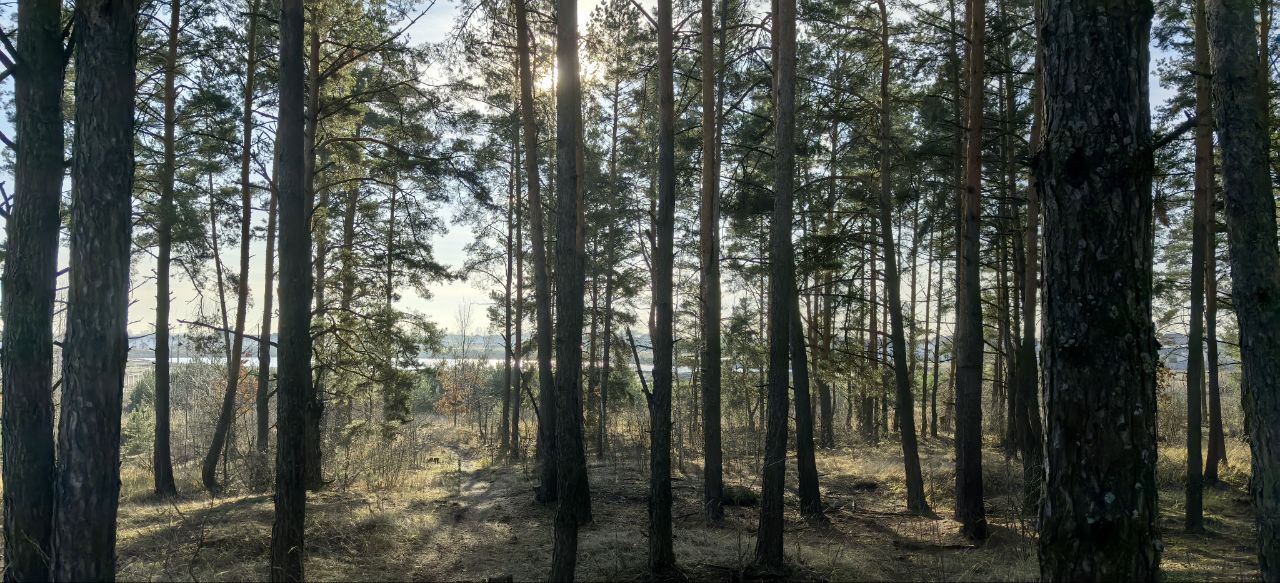 8 декабря отмечают Климентьев день