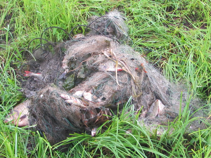 «Комплексных» браконьеров задержали в Калинковичском районе