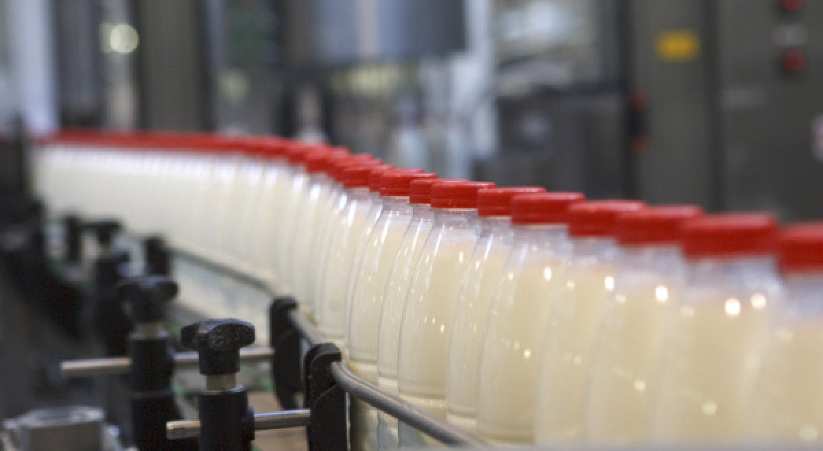 Беларусь планирует до конца года поставить в Россию более 3,5 млн т молока