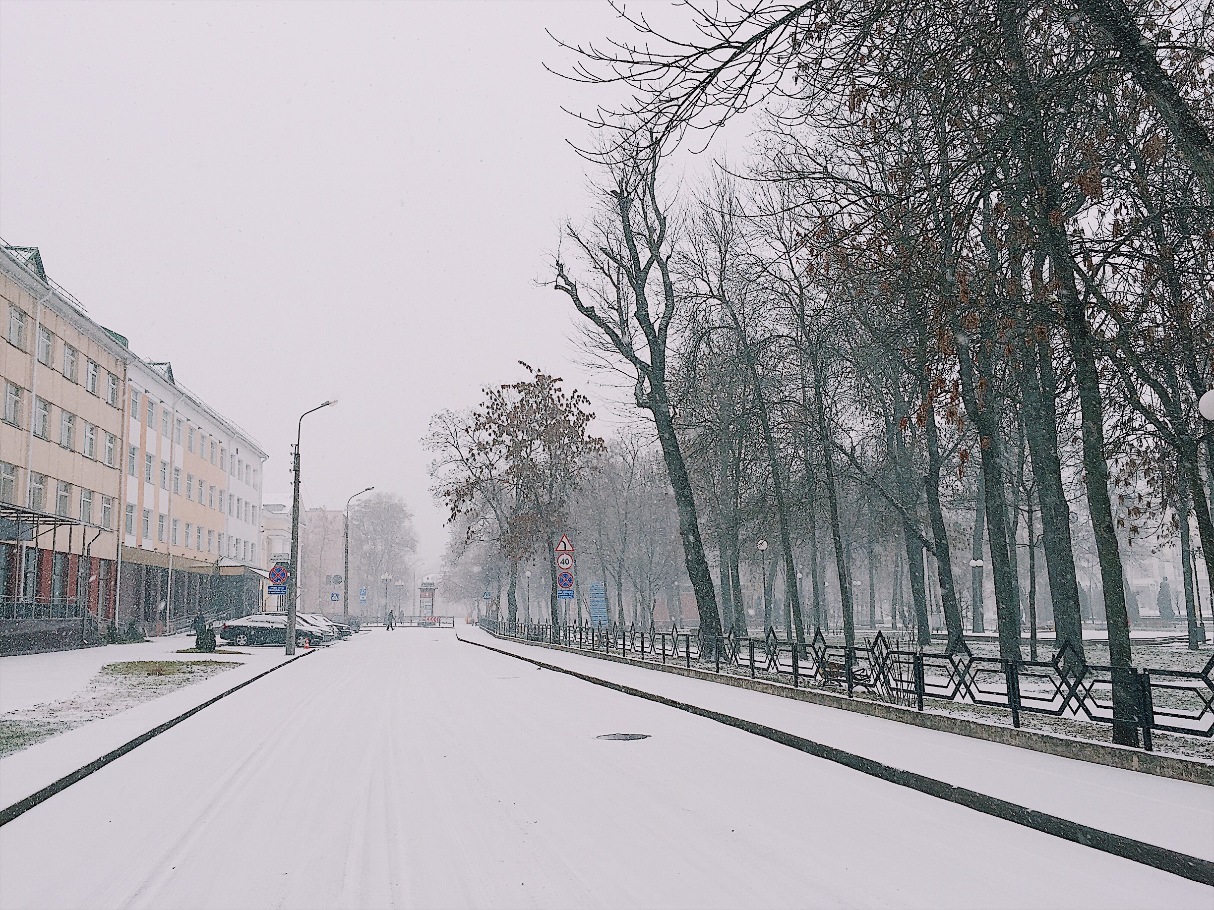 В Гомеле пошел первый снег