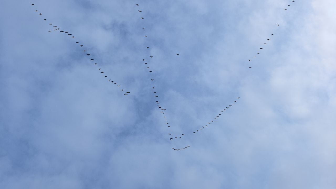 19 марта отмечают День Константина