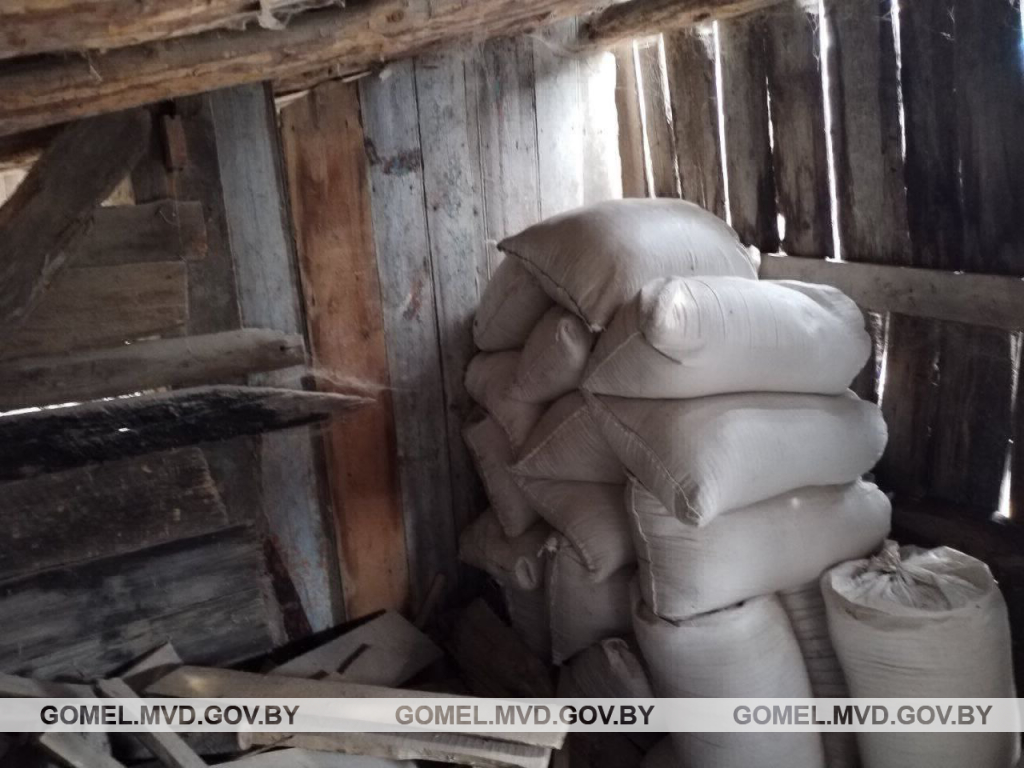 В Жлобинском районе помощник бригадира и животновод похитили почти 900 кг комбикорма