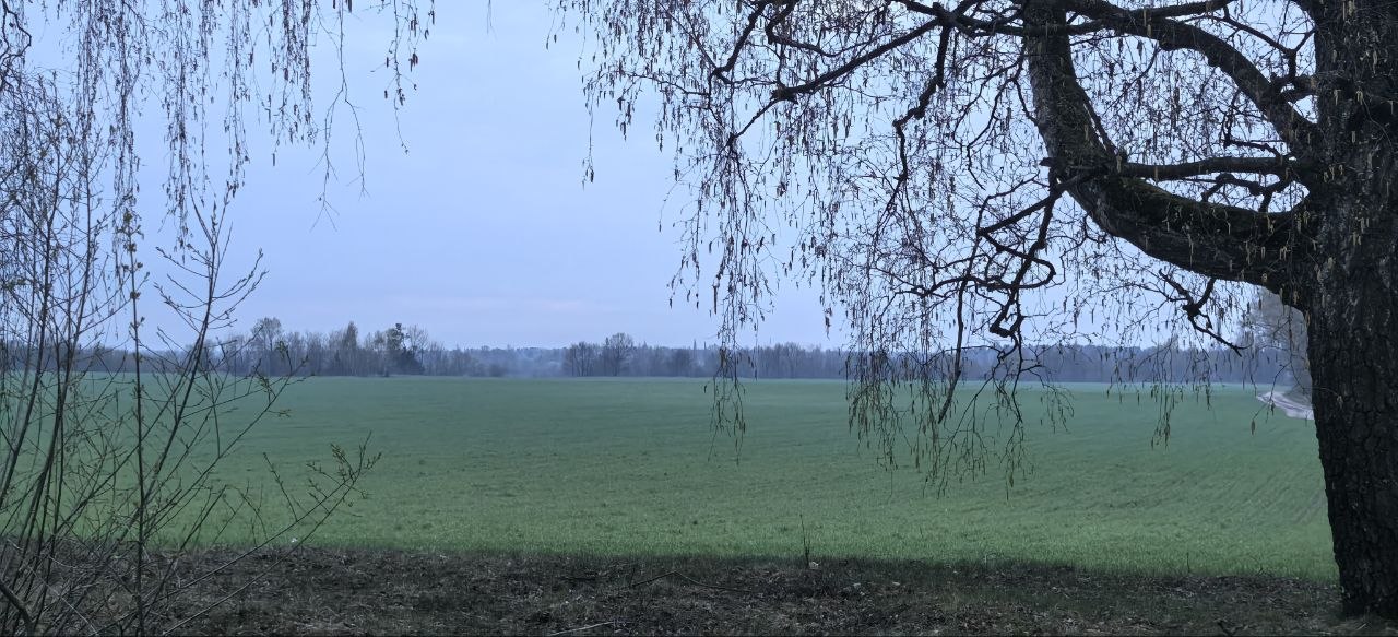 16 апреля отмечают День Никиты Водопола