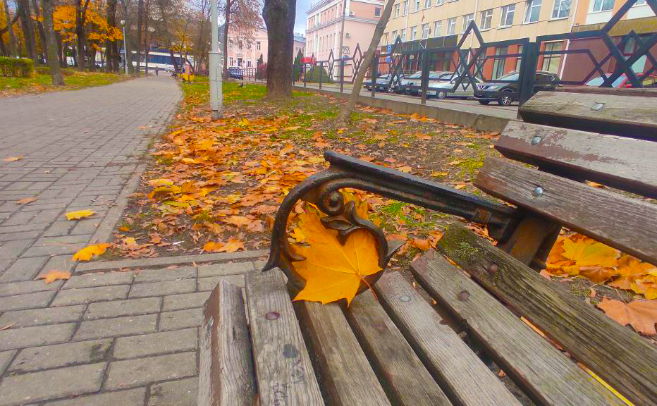 Синоптики обещают тепло и дожди в Беларуси в среду, 26 октября