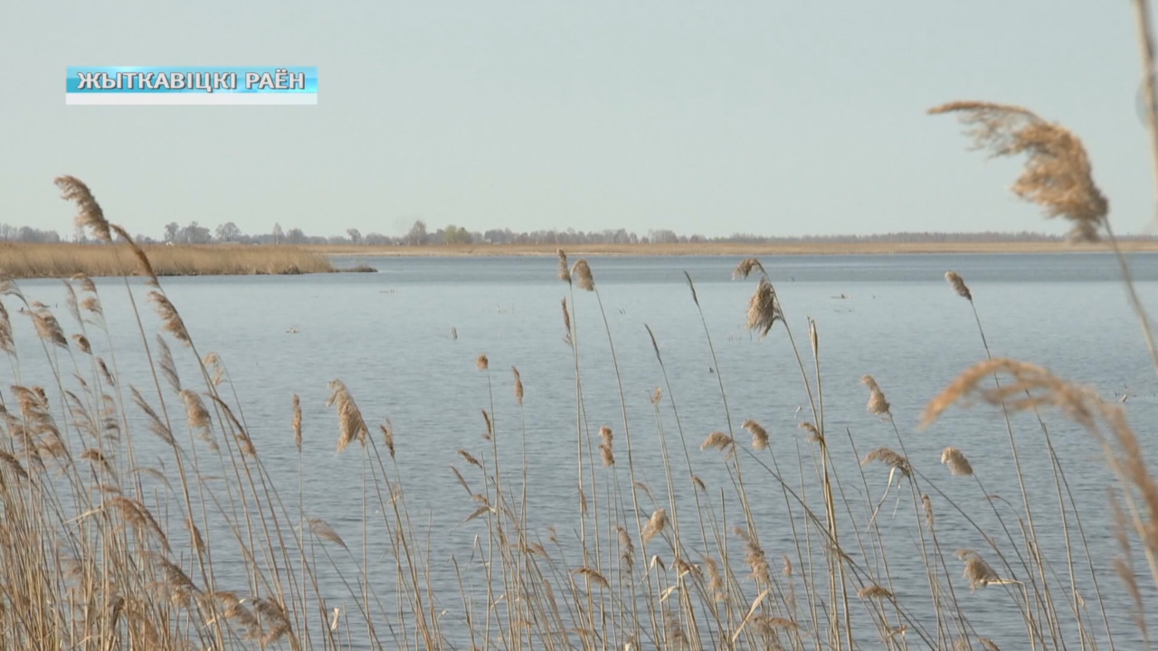 В Гомеле запретили купаться на 4 городских пляжах