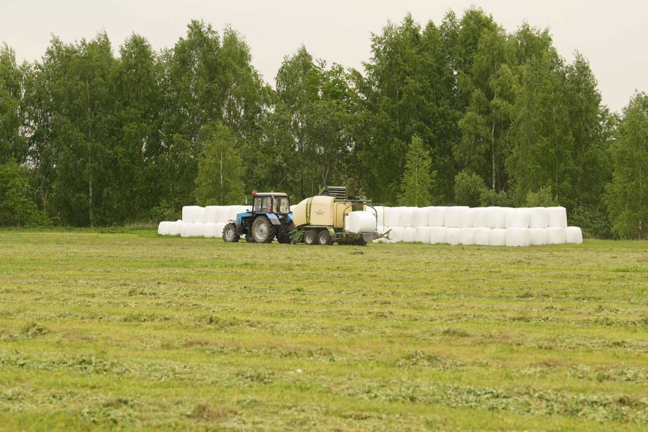Аграрии Гомельщины провели первый укос трав почти на 9,8 тыс. га.
