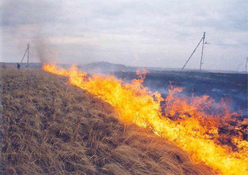 Пожароопасный период начался в Беларуси