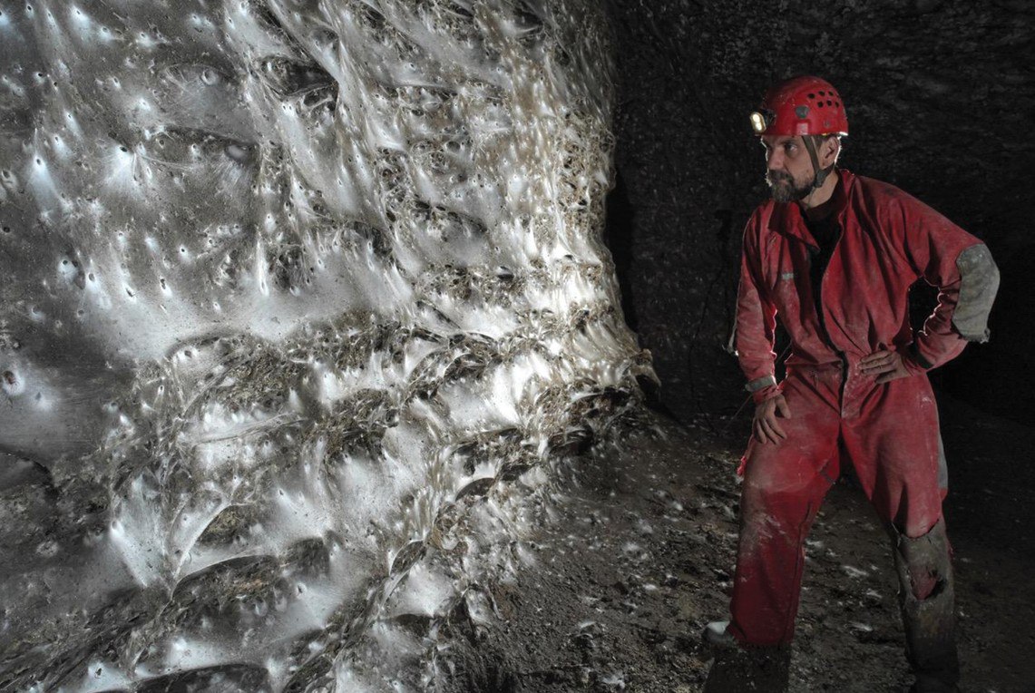 Крупнейшую в мире паутину с населением 111 000 пауков нашли в пещере на границе Албании и Греции