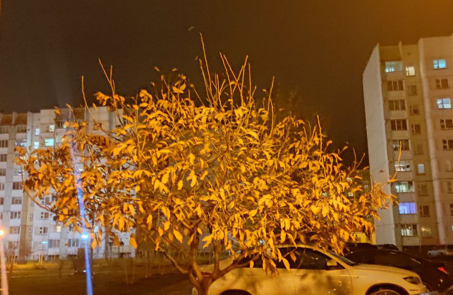 1 ноября в Беларуси ожидаются дожди и ночные заморозки